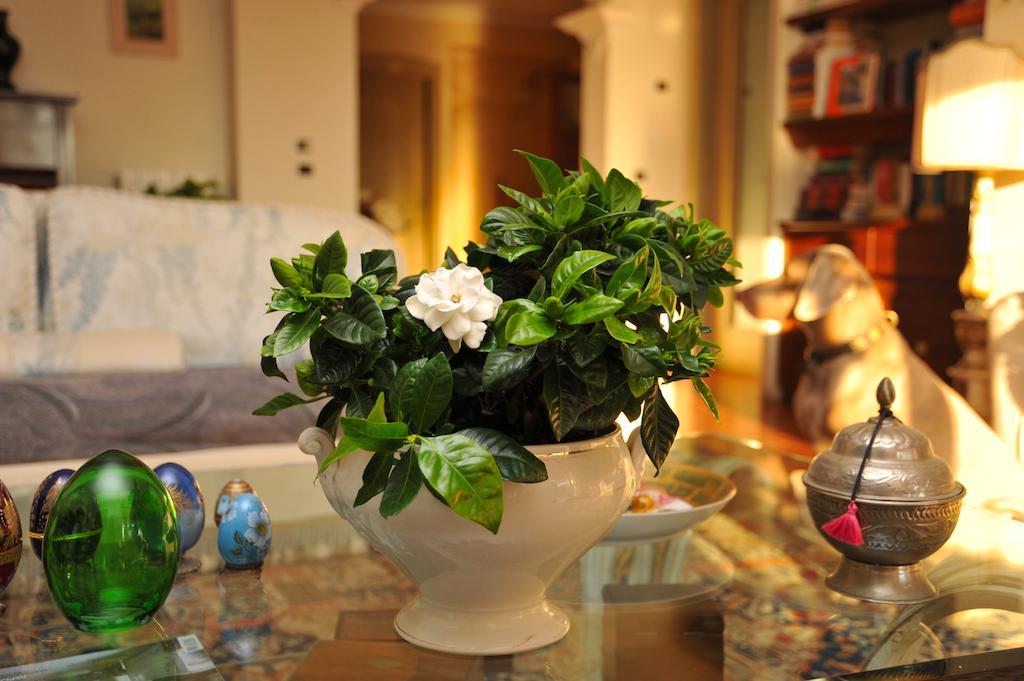 Casa Le Agavi Hotel Portoferraio Ngoại thất bức ảnh